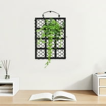 OUNONA Wall Planter for Staghorn Ferns Orchids Rustic Hanging Planter for Indoor and Outdoor Spaces for Home Decor in Living Room Balcony