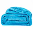 thumbnail image 1 of Deconovo Manta polar, suave y ligera, color verde azulado, 127 cm de ancho x 152 cm de largo, acogedora y de felpa, ideal para cama, sofá, sofá, viajes y camping., 1 of 7
