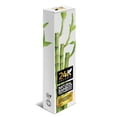 thumbnail image 5 of Natural Bamboo Toothbrushes – Eco Friendly Biodegradable Toothbrush with Soft Bristles, BPA-Free Handle, Sustainable Oral Care, 4 Pack, 5 of 6