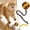 C, variant on Interactive Cat Toy with Ropes and Yarn for Indoor Play Exercise and