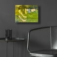 thumbnail image 5 of Epic Art 'French Lundry' by Allayn Stevens, Acrylic Glass Wall Art, 16"x12", 5 of 8