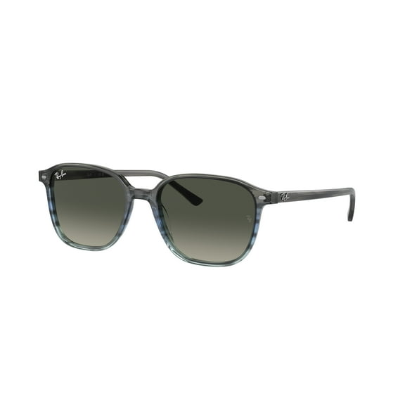 Sunglasses Ray-Ban RB 2193 138171 Leonard Striped Gray Gradient