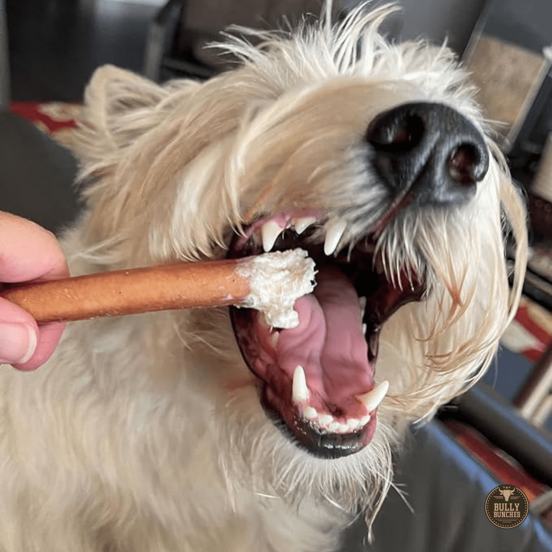 Bully Bunches Premium 6 Inch Standard Bully Stick - 20 Pack