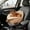 White4, variant on Versatile Quilted Handheld Tote for Small Dogs and Cats Convertible Travel Bed with -Function Design