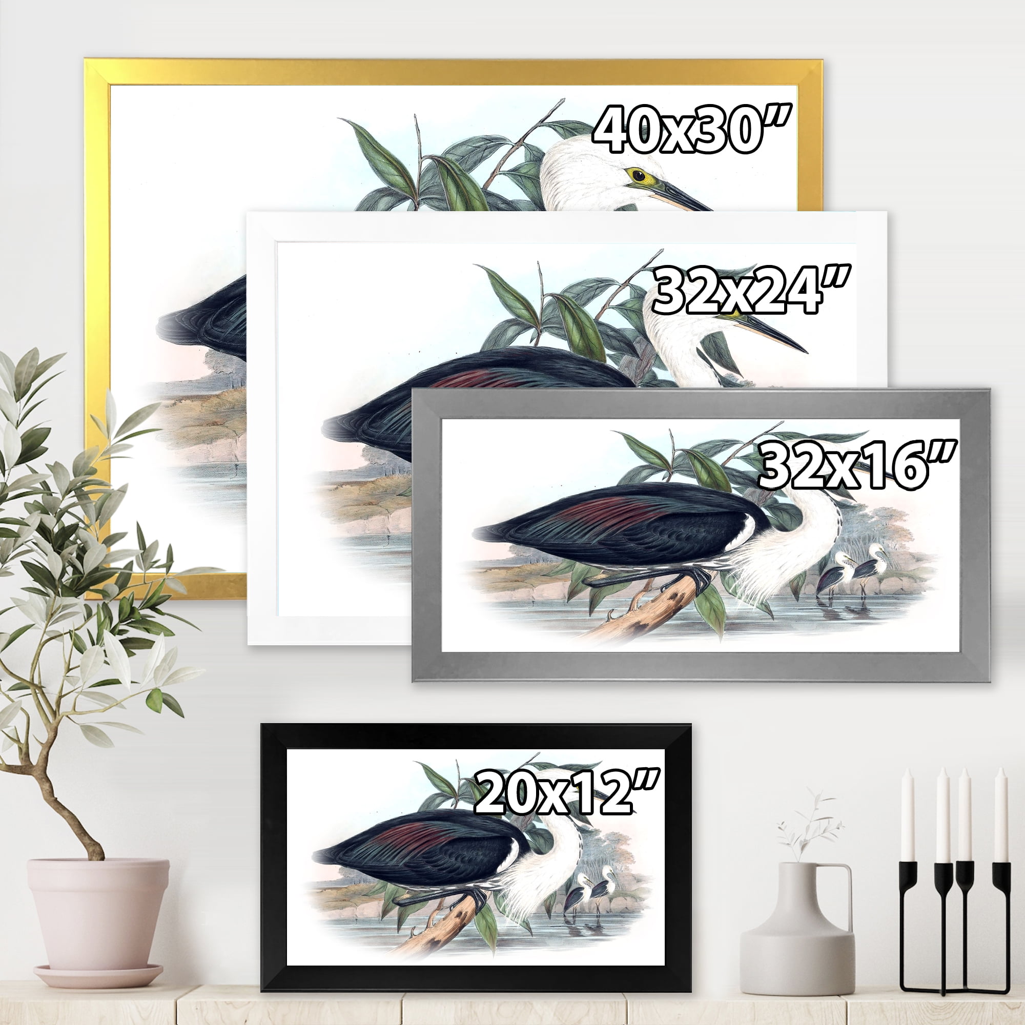 Designart 'Ancient Birds Of Australia' Traditional Framed Art Print