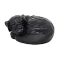 thumbnail image 3 of Urna conmemorativa para mascotas, recuerdo, figura conmemorativa, organizador, urnas de cenizas para mascotas, para repisa de chimenea, mesa, 3 of 8