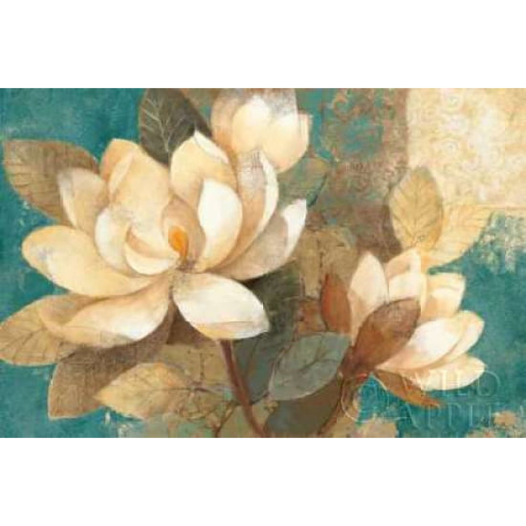 Turquoise Magnolias Canvas Art - Albena Hristova (12 x 18)
