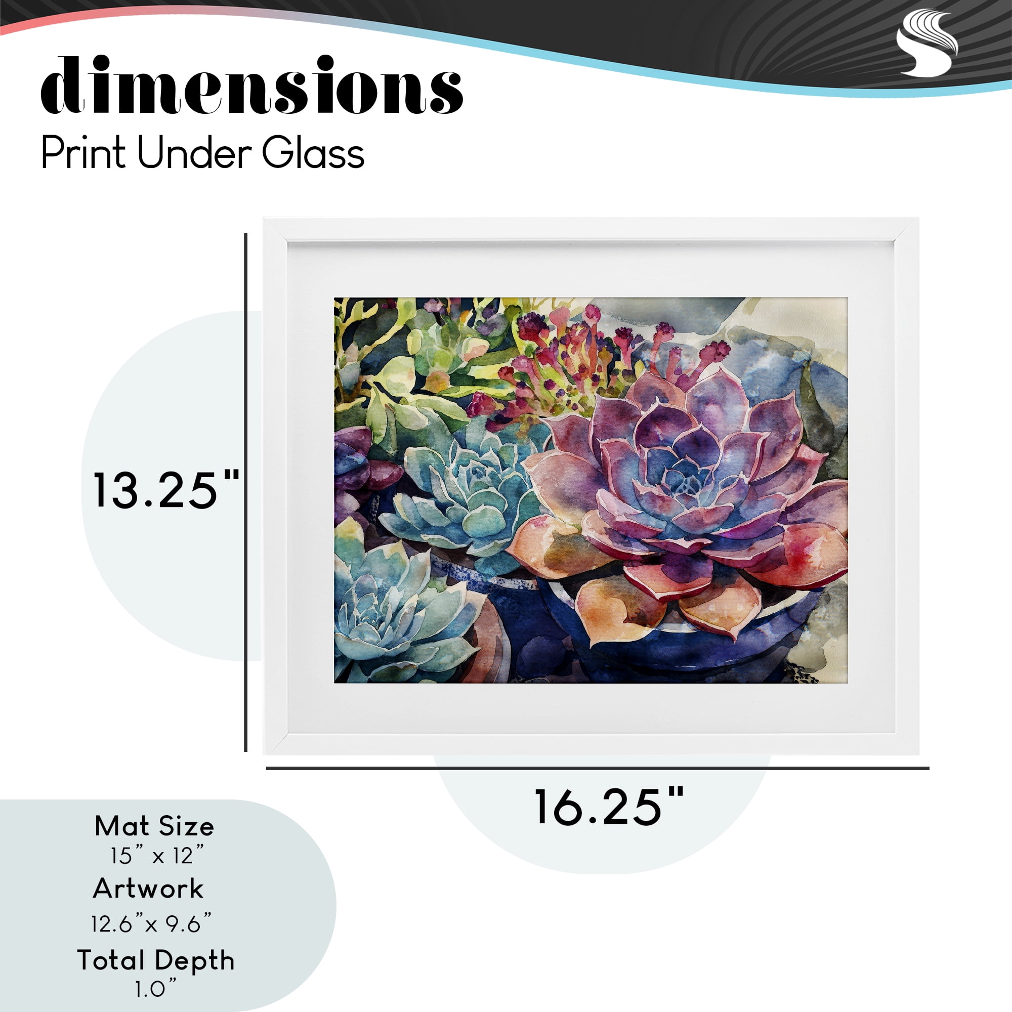 Stupell Industries Sun Kissed Succulents White Framed Print Under Glass, design by Svetlana Aleynikova
