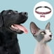 thumbnail image 3 of Collar para mascotas con diamante, colgante de hueso elástico de diamante de cristal ajustable para gatos y perros de boda, 3 of 5