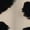 BZA1342, variant on Beige background white floral pattern Sports Dresses Women Tennis Dress Outdoor Badminton Golf Quick-Drying And Breathable Sports Dress