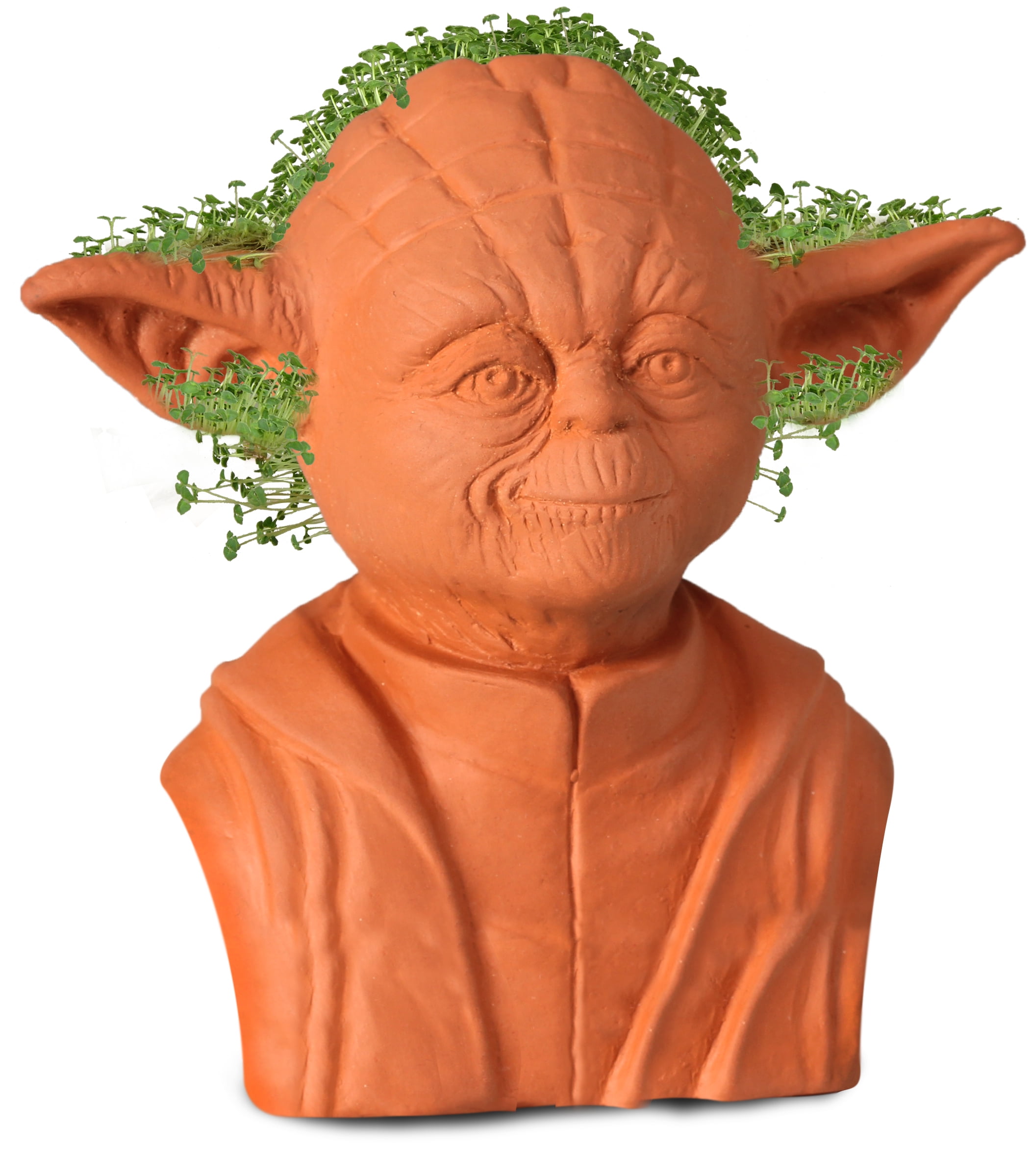 Baby Yoda Chia Pet : 7 Steps (with Pictures) - Instructables