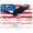 American Eagle, variant on Patriotic License Plate American Eagle Aluminum Metal Car Tag National US 250 Years, Novelty Decorative License Plates, Thick Durable Automotive Front Plate for Car, Truck, SUV, 6 X 12 Inch