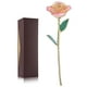 thumbnail image 4 of Rosa blanca de 24 quilates, regalo de oro, rosa eterna de tallo largo, rosa sumergida, regalo artesanal., 4 of 11