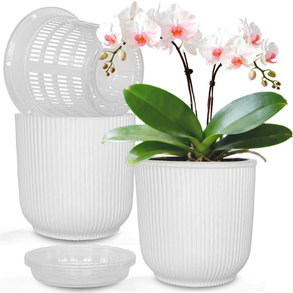 MUZHI 2 Pack Double Layer Orchid Planter Pot 5.4", Clear Slotted Orchid Basket with Drain Tray , Decorative Breathable Plastic Orc