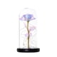 thumbnail image 2 of Rosa eterna de La Bella y la Bestia con luces LED bajo la cúpula de cristal rosa en forma de campana: un regalo perfecto para mujeres, el Día de la Madre, bodas, San Valentín, cumpleaños y Navidad., 2 of 5