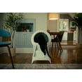 thumbnail image 7 of Litter-Robot 4 Ramp for Automatic Litter Box, White, 7 of 7