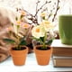thumbnail image 4 of KAKOWELY 2 plantas artificiales en maceta para casa, modelo de bonsái pequeño, decoración de maceta en miniatura, 4 of 5