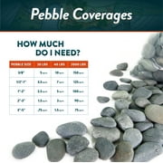 Mexican Beach Pebbles, Round River Rock Landscape Garden Stones 20 pounds