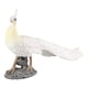 thumbnail image 1 of Estatua Realista De Figura De Pavo Real Para Regalo De Cumpleaños, Juguete Interior Y Exterior Sunnimix estatuilla de animales, 1 of 8