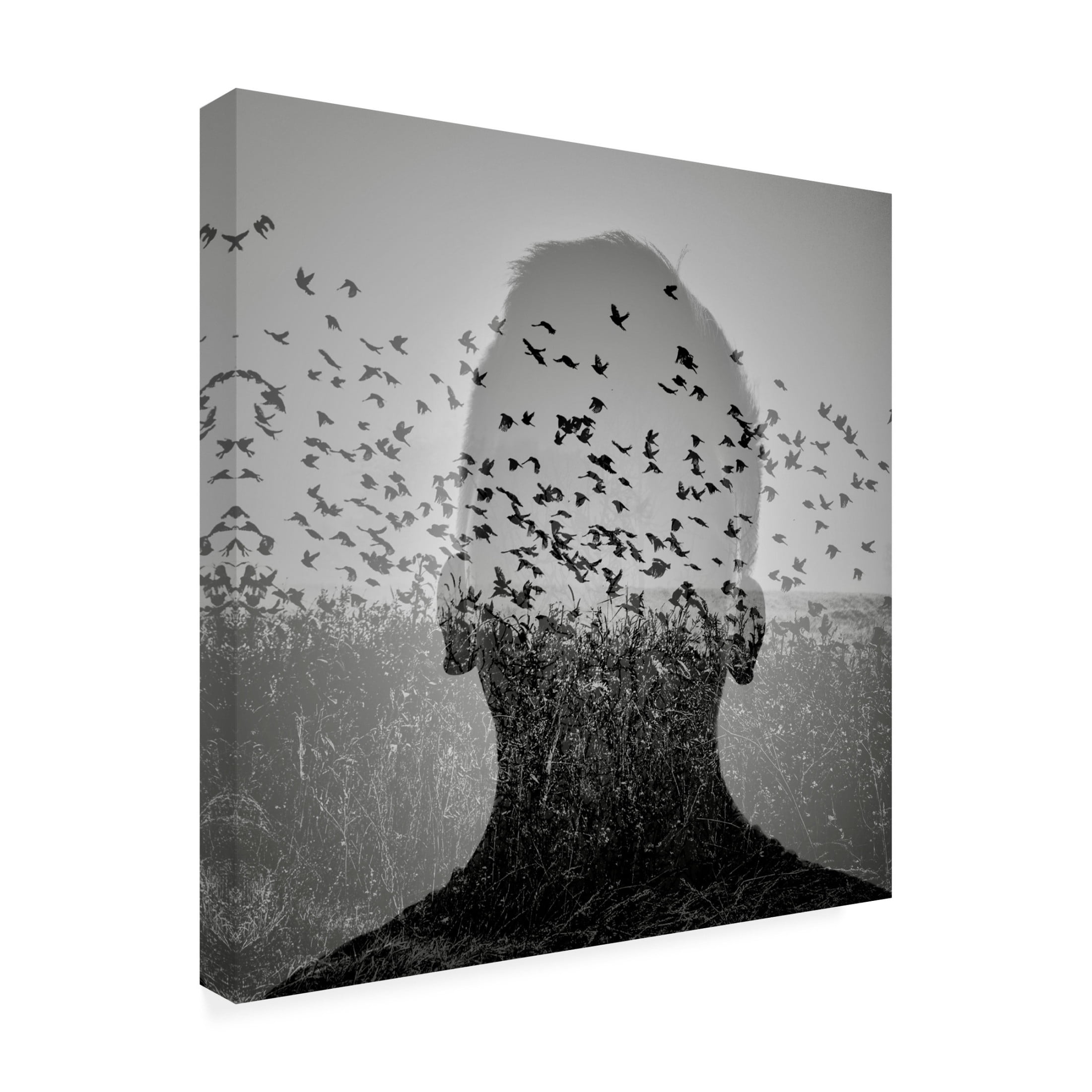 Trademark Fine Art Viktor Bauer  Beautiful mind 2 Canvas Wall Art