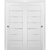 Sliding Closet Bypass Doors 36 x 84 with hardware | Quadro 4117 White Silk with Frosted Opaque Glass | Sturdy Top Mount Rails Moldings Trims Set | Kitchen Lite Wooden Solid Bedroom Wardrobe Doors