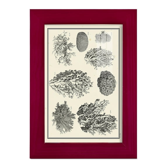 Aegean Collection IV -Framed Print w/glass-Cherry Red