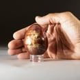 thumbnail image 2 of Polished Petrified Wood Egg from Madagascar (168 grams), 2 of 4