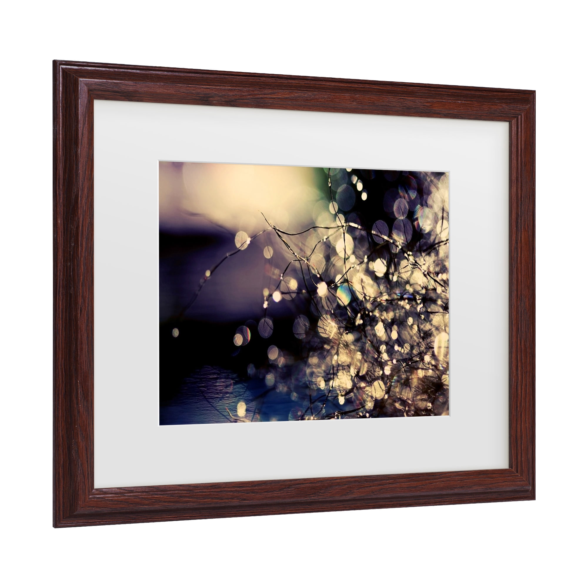 Trademark Fine Art 'Fairies' Canvas Art by Beata Czyzowska Young