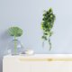 thumbnail image 5 of 2 plantas artificiales colgantes, realistas, para uso en interiores y exteriores, decoración de bonsái falso, 5 of 8