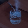 thumbnail image 3 of Small flower humidifier portable desktop water sprayer, 3 of 6