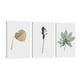 thumbnail image 1 of Cuadro Decorativo Tríptico Vertical Hojas Minimalistas 2 Canvas Revolution  Set De 3 Cuadros 25x38 cm, 1 of 5