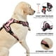 thumbnail image 4 of Arnés para perros NESTROAD, chaleco Oxford ajustable sin tirones, pequeño, 4 of 8