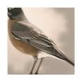 thumbnail image 1 of Robins in Reflection Art - Canvas, 1 of 10