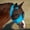 Pacific Blue, variant on Professional's Choice Comfort Fit Fly Mask Pacificblue HORSE