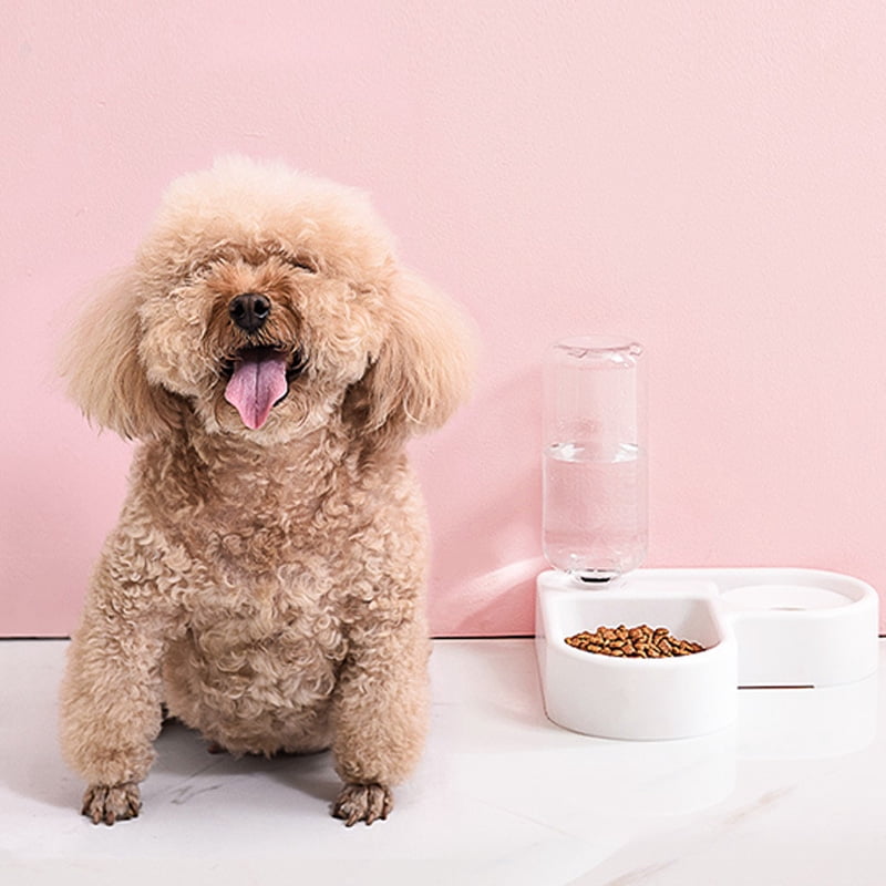 Automatic Pet Water Feeder Double Food Water Bowls Wall Corner Water  Dispenser 500ml Bottle Pet Accessories