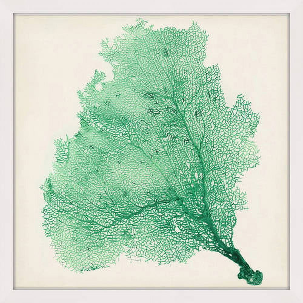 Marmont Hill "Sea Fan VII" Framed Painting Print