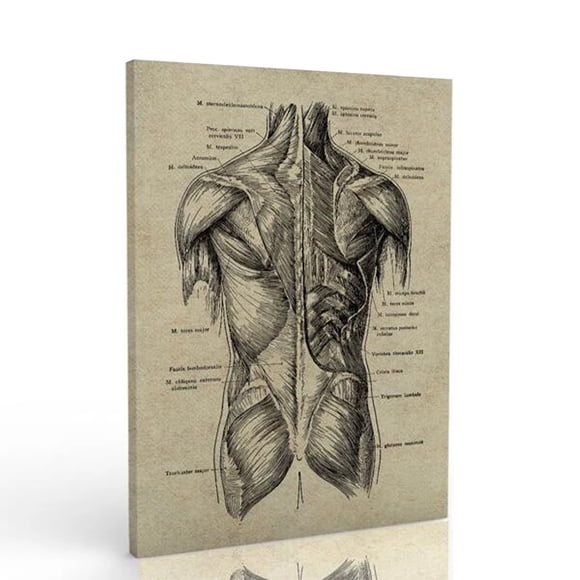 Matsuzay Pinturas de 2 piezas con impresiones de marcos, carteles de ilustraciones, imágenes de regalos Decoración del hogar Matsuzay HA011017-00