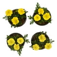 thumbnail image 5 of (2 pack) Expert Gardener 4PK Yellow Marigold Live Plant, 5 of 6