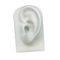 thumbnail image 1 of Accesorios de modelo de oreja, modelo de oreja de silicona, herramienta de enseñanza, auricules, accesorios de exhibición de enseñanza blanco Zulema Modelado de partes del cuerpo humano, 1 of 8