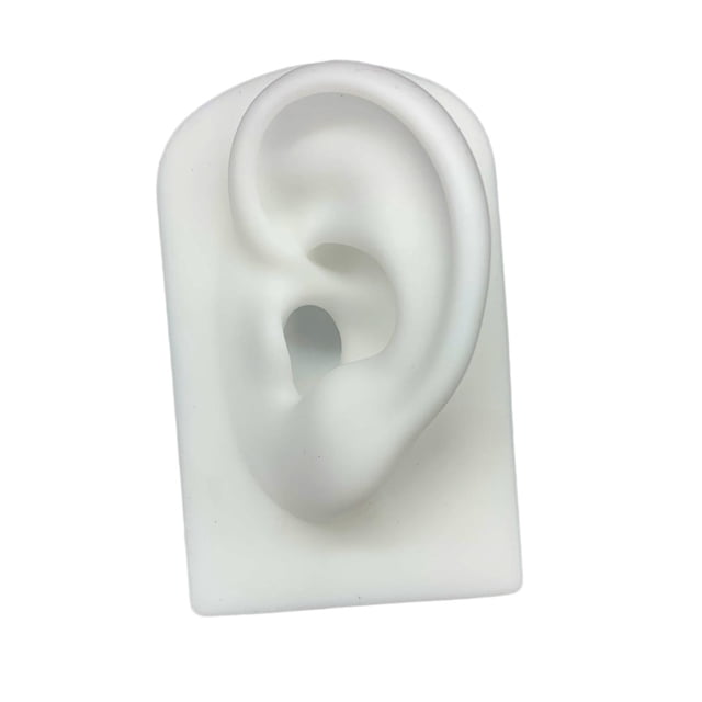 Accesorios de modelo de oreja, modelo de oreja de silicona, herramienta de enseñanza, auricules, accesorios de exhibición de enseñanza blanco Zulema Modelado de partes del cuerpo humano