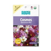 Back to the Roots Organic Cosmos Flower 'Sensation Mix' Seeds, 1 Packet