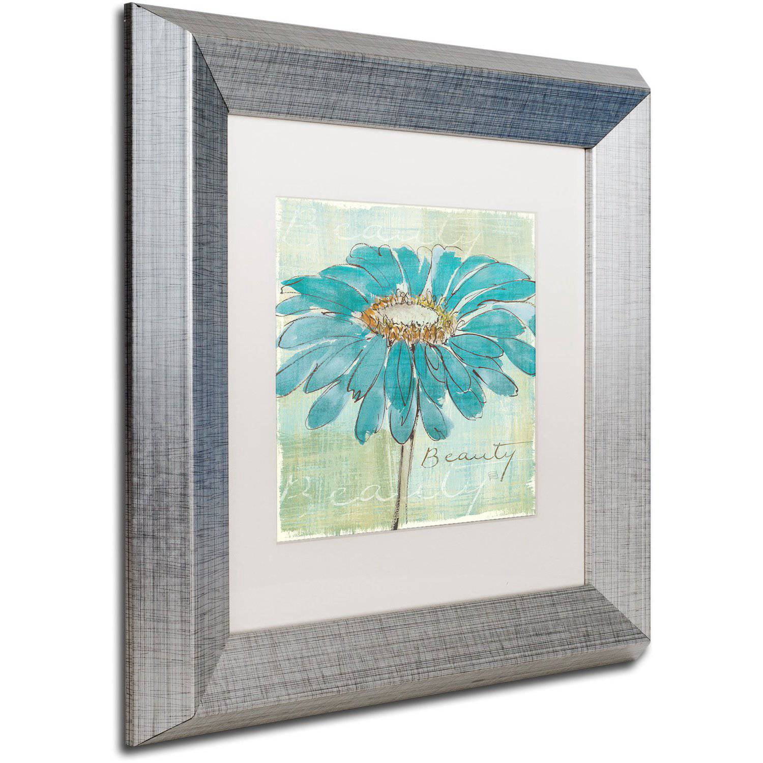 Trademark Fine Art "Spa Daisies I" Canvas Art by Chris Paschke White Matte, Silver Frame