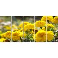 thumbnail image 2 of Bright Yellow Marigold Flowers - Floral Canvas Art Print, 2 of 3