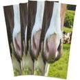 thumbnail image 2 of Dreamtimes Soft Absorbent Reusable Kitchen Towels, Set of 1|28x18 in, Black and White Longhorn Dining Kitchen Living Room Tea Towels Dish Towels Decorative Towels, 2 of 7