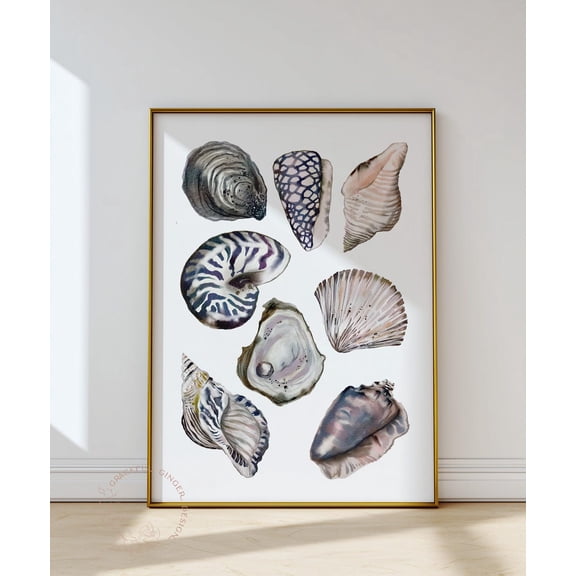 Seashell Print, Coastal Bathroom Wall Art Home Decor #2527, Unframed Poster Size 8x12