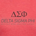 thumbnail image 3 of CafePress - Delta Sigma Phi Grayscale Stacked Logo T Shirt - Womens Tri-blend T-Shirt, 3 of 4