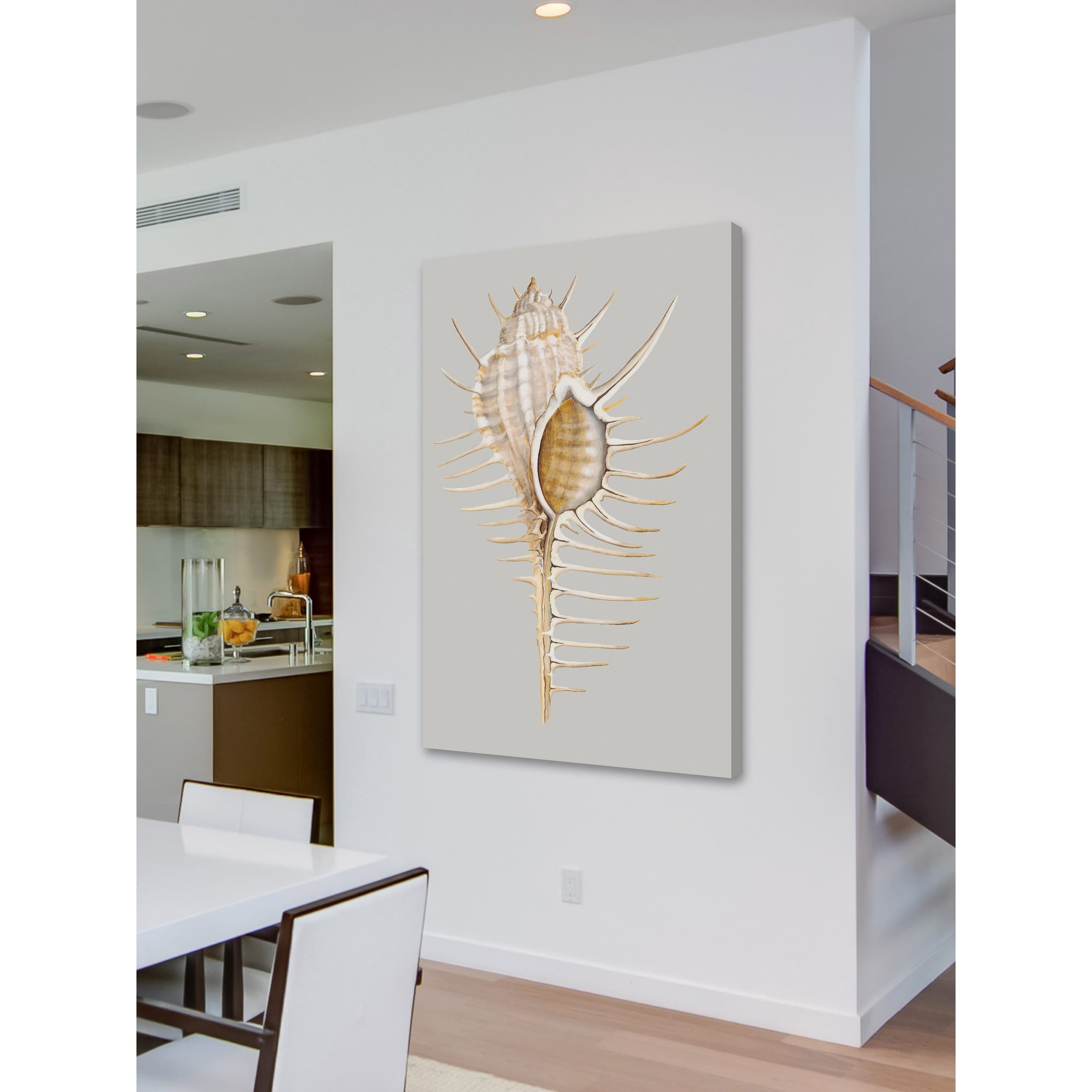 Marmont Hill "Spiny Murex" Painting Print on Wrapped Canvas