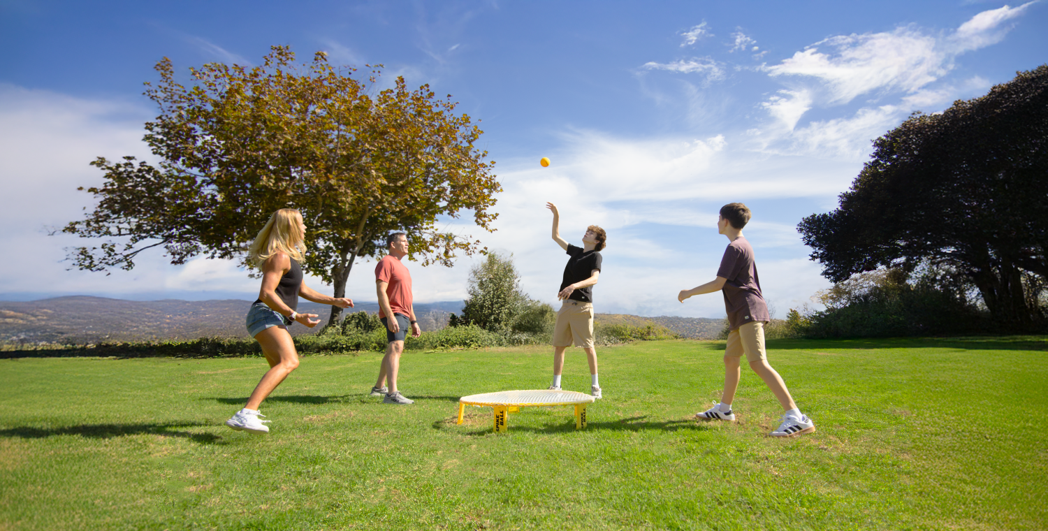 Spikeball Family Set with Carrying Bag photo 5