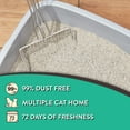 thumbnail image 5 of (2 pack) Special Kitty Scoopable Tight Clumping Cat Litter, Fresh Scent, 40 lb, 5 of 8