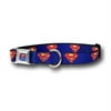 Superman Symbols Blue Dog Collar-Small 9-15